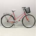 Damcykel