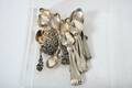 Kaffeskedar, silver