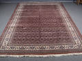 Kashmir Herati. 249 x 352 cm.