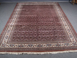 Kashmir Herati. 249 x 352 cm.