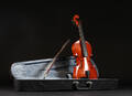 Violin med transportkasse