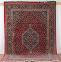 Kashmir Bidjar 300 x 205 cm