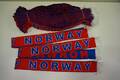 28st Norway halsdukar 4