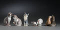 Samling porcelænsfigurer med dyr fra Royal Copenhagen og BG