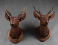 Ett par troféer i skuret trä 2