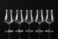 VINPROVARGLAS, 5 st, Elixir, Orrefors