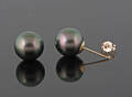 9Kt Black Akoya Earrings 2