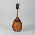 Mandolin