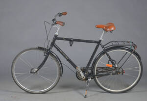Ebsen, herrecykel. 5493