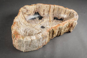 Unika vask udhugget i forstenet træ