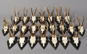 23 stk. bukkeopsatse monteret på plade 23