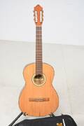 Gitarr Levin