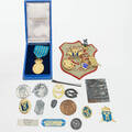 PINS, MEDALJER