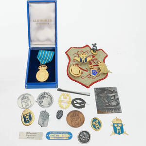 PINS, MEDALJER