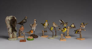 Samling af udstoppet sangfugle 11