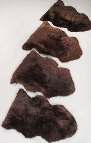 New Zealandsk lammeskind - chocolate 4