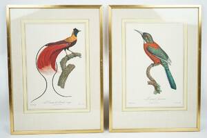 Posters, fåglar, 2 st