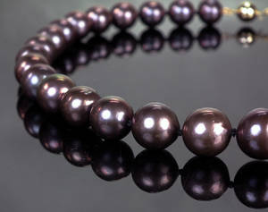 Tahitizuchtperlcollier