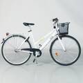 CYKEL DAM 28, 3vxl