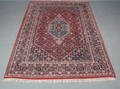 Kashmir Bidjar, 187 x 271 cm