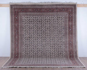 Kashmir Herati 250x347 cm