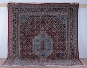 Kashmir Bidjar 254x301 cm