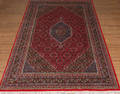 Kashmir Bidjar 251x 359cm