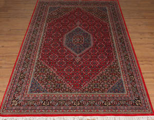Kashmir Bidjar 251x 359cm
