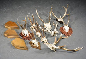 Samling skalmonterede opsatser 10