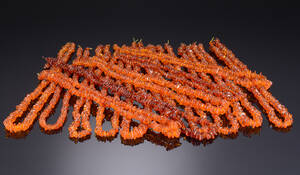 Samling på femten ravkæder 15