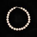Halsband
