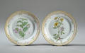 Kgl. Porcelæn, Flora Danica. To frokosttallerkner 2