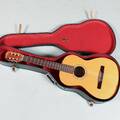GITARR STARTON Eva