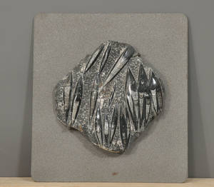 Fossil monteret på metalplade