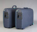 Par Samsonite kufferter 2