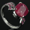 Rubin ring.