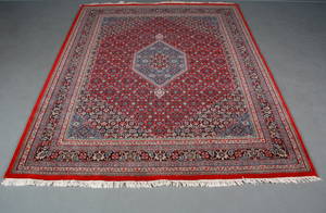 Kashmir Bidjar, 245 x 306 cm