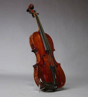 Violin