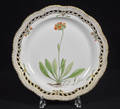 Royal Copenhagen, Flora Danica, fat