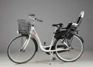 Kildemoes, damecykel. 201415