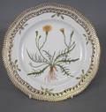 Kgl. Porcelæn. Flora Danica tallerken 1. sort.