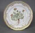 Kgl. Porcelæn. Flora Danica tallerken 1. sort.