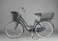 Kildemoes, damecykel. 