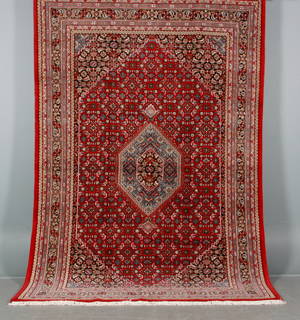 Kashmir Bidjar, 195 x 295 cm