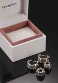 Pandora Jewelry øreringe, samt charms 3