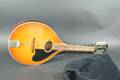 Mandolin, Levin