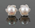 Gold diamond  fresh water pearl earrings approx. 0.10ct 2