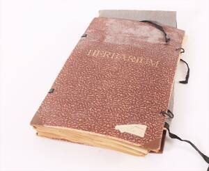 Herbarium, 1900-talets första hälft