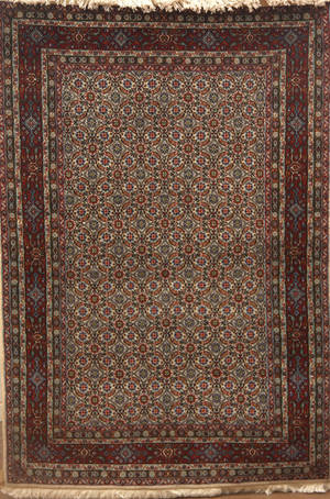 Persisk Moud 146 x 99 cm