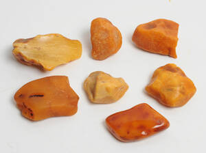 Dansk Rav - 7 ravklumper, samlet ca. 217 gram 7